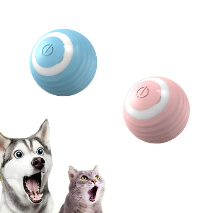 Interaktiver Katzenball