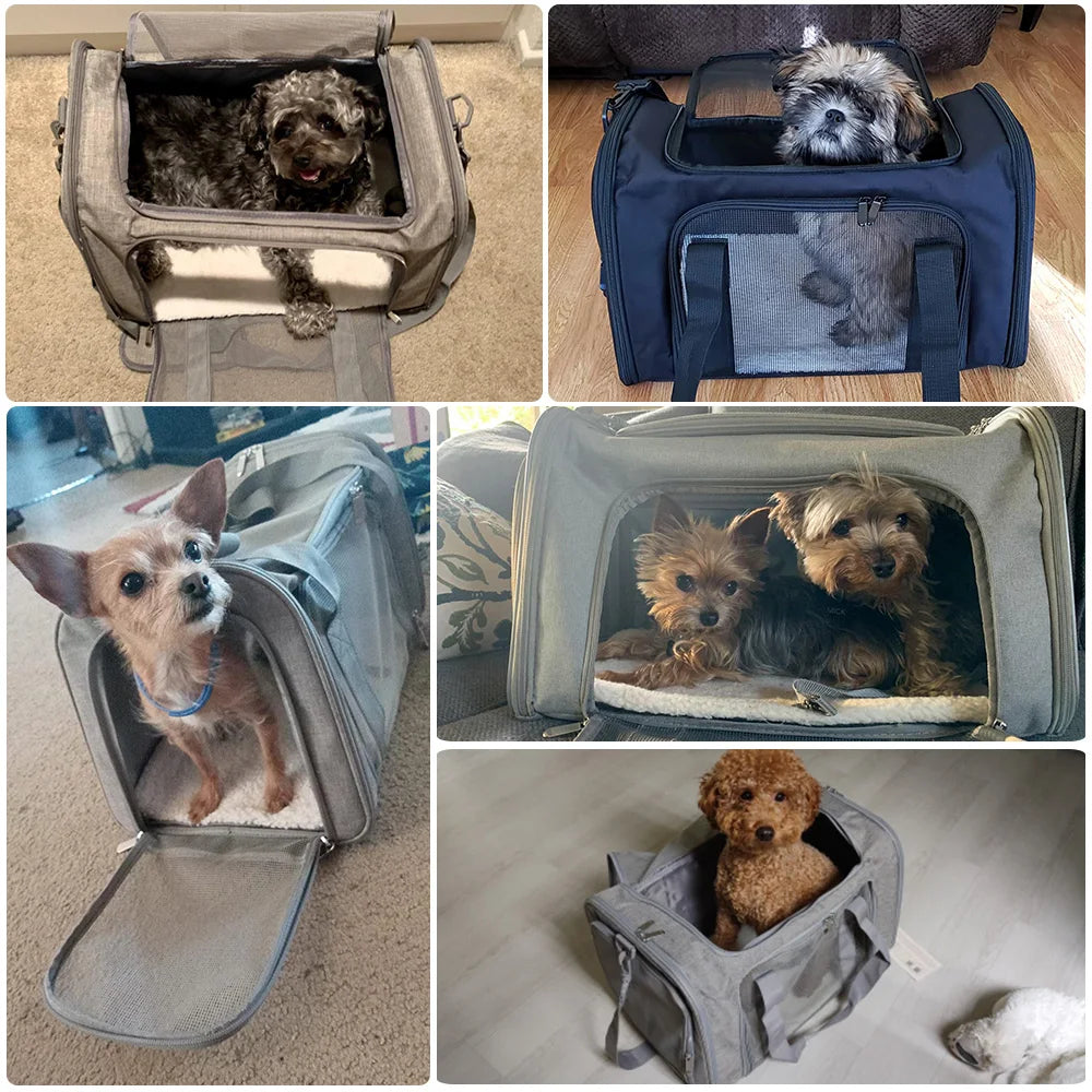 Carrying bag for dogs and cats