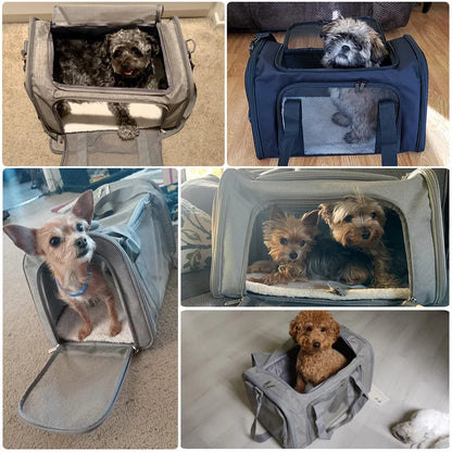 Carrying bag for dogs and cats