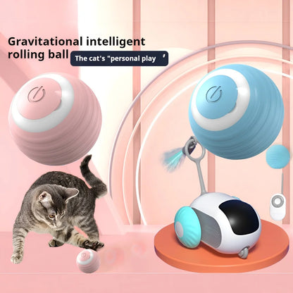 Interaktiver Katzenball